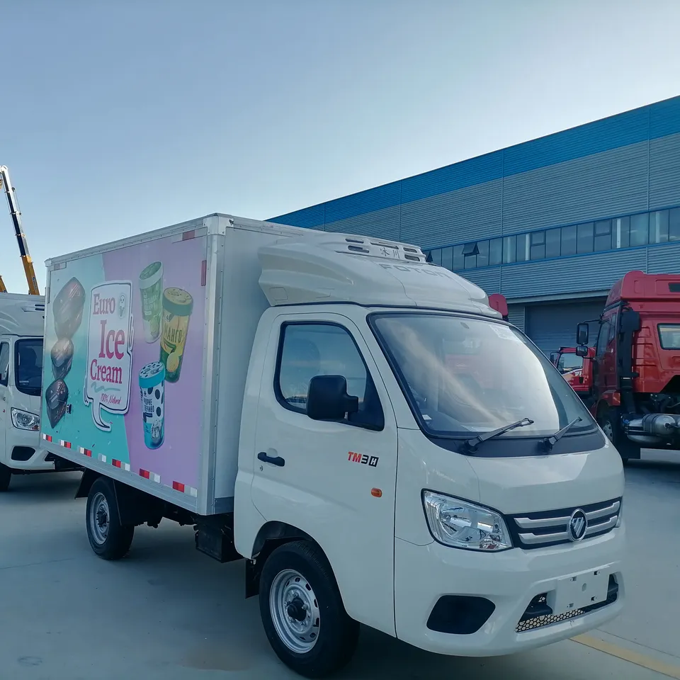 Foton Small Food Van Refrigerator Box Truck
