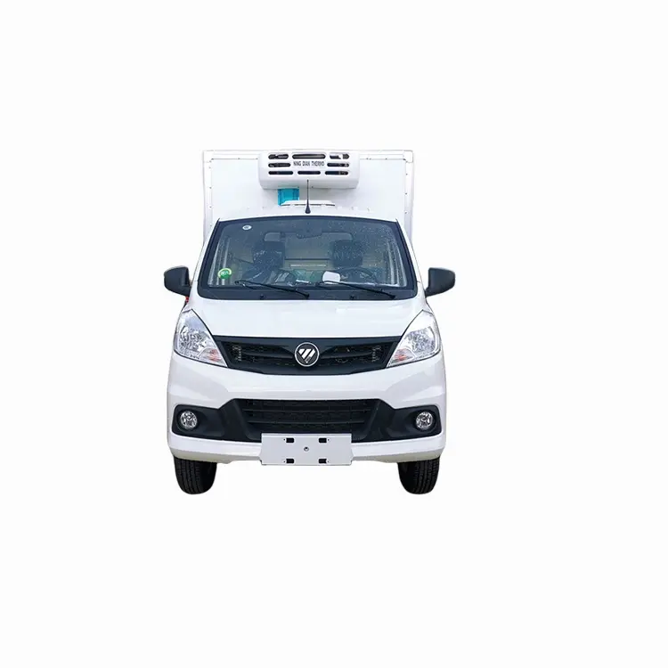 Foton Small Food Van Refrigerator Box Truck